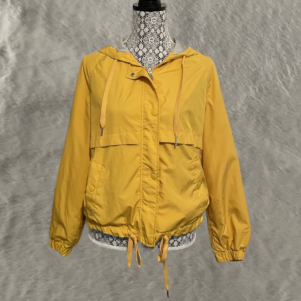 Divided Yellow Jacket